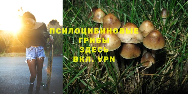 стаф Алексин