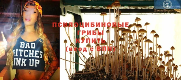 стаф Алексин