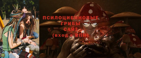 стаф Алексин