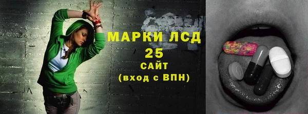 стаф Алексин