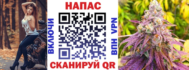 Бошки Шишки план  где можно купить наркотик  Магадан 